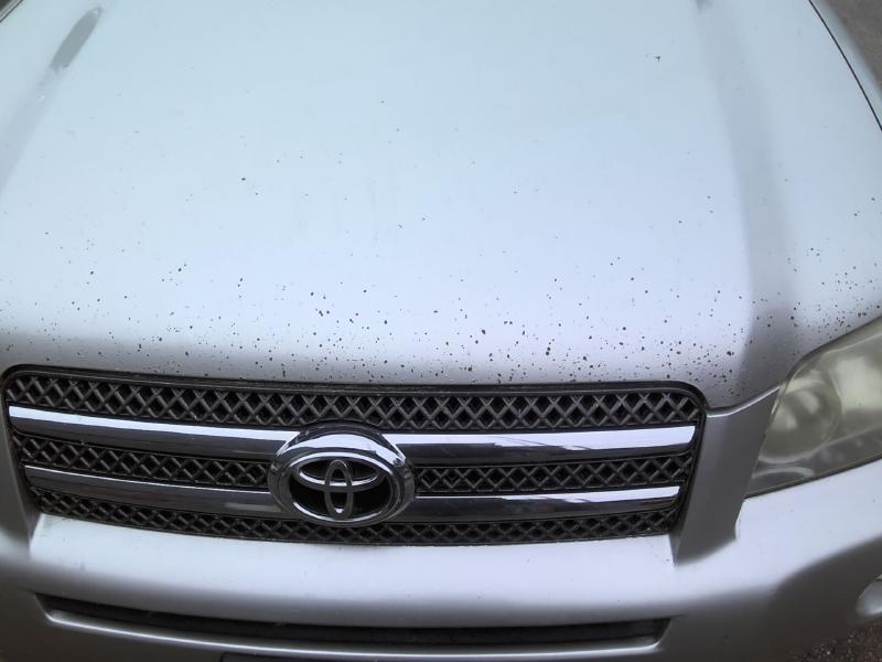 2007 Toyota Highlander SILVER Photo 2