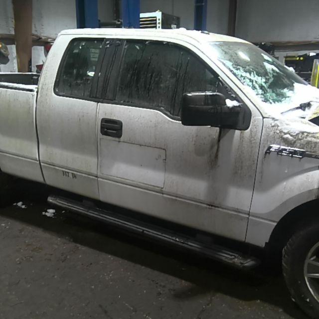 2014 Ford F-150 White Photo 3