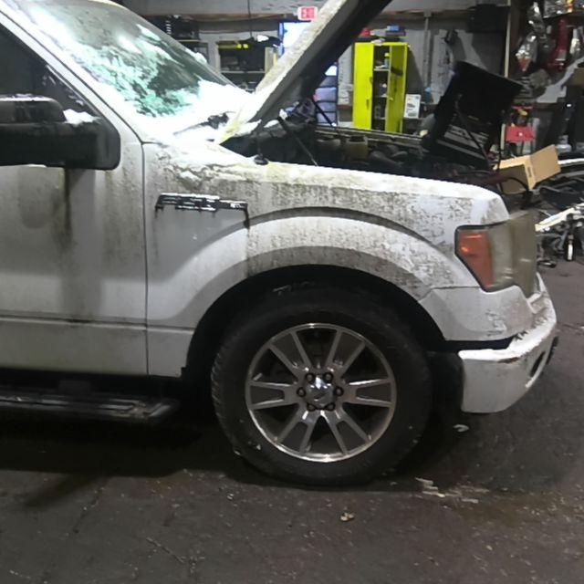 2014 Ford F-150 White Photo 4