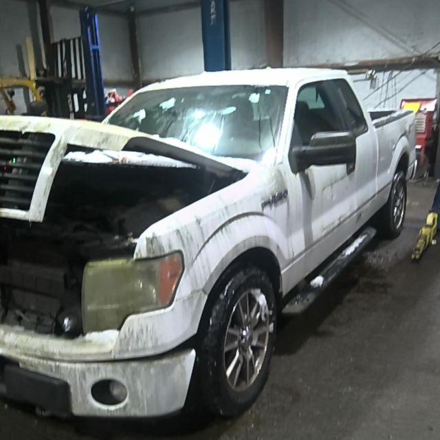 2014 Ford F-150 White Photo 7