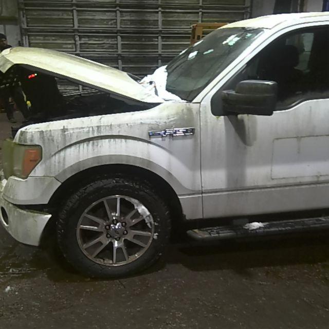 2014 Ford F-150 White Photo 8
