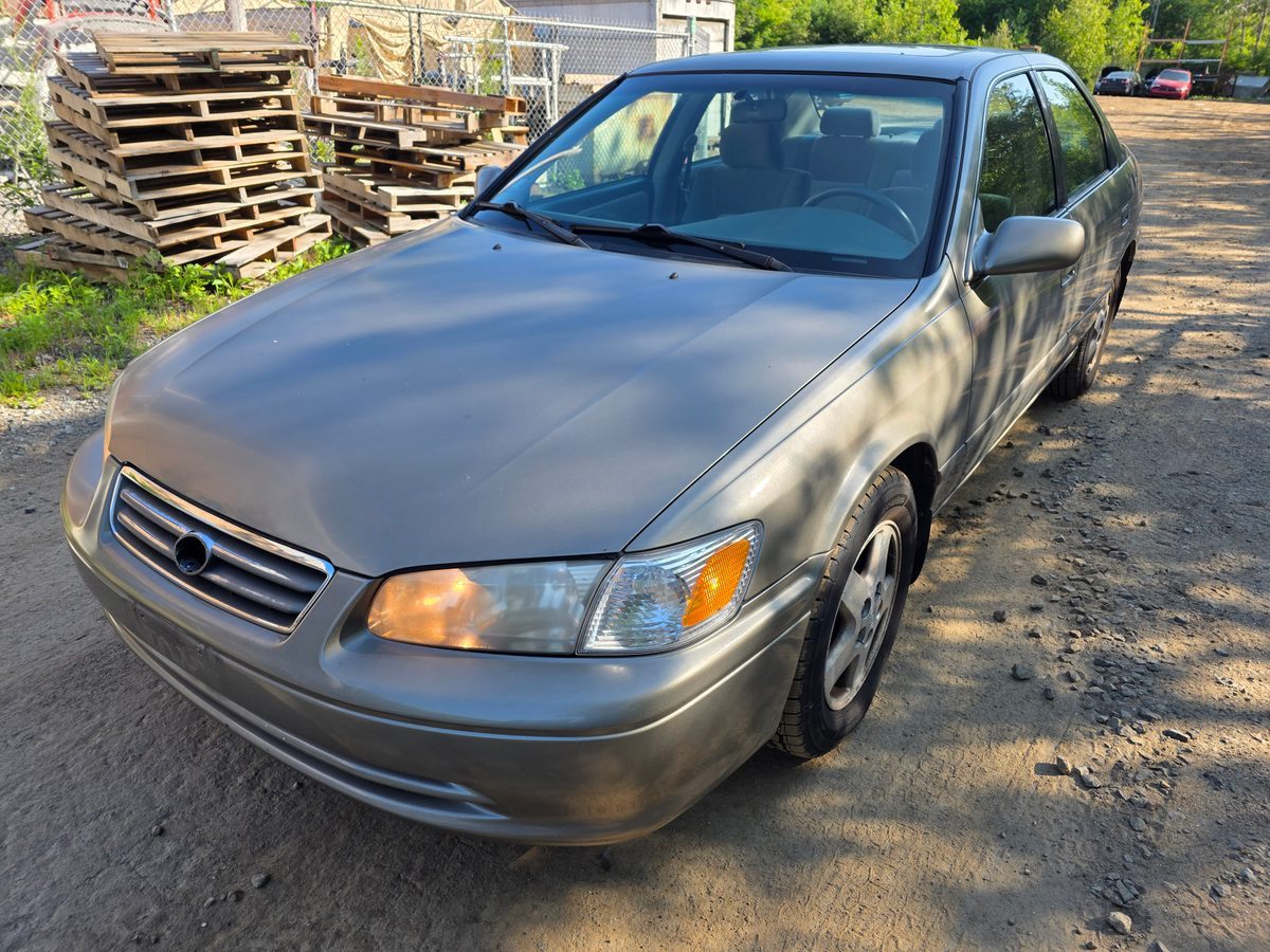 2001 Toyota Camry LE V6 Lunar Mist Metallic - door handle detail