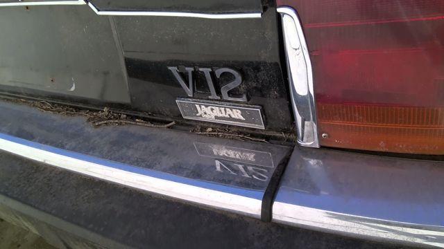 1986 Jaguar XJS BLACK Photo 4