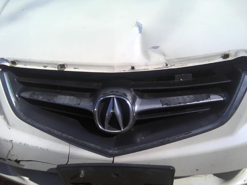 2004 Acura TSX WHITE Photo 8