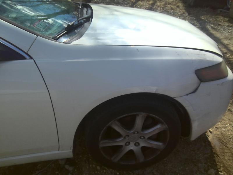 2004 Acura Acura TSX WHITE Photo 4