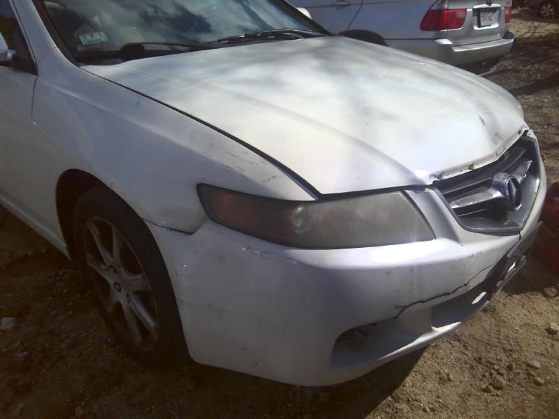 2004 Acura Acura TSX WHITE Photo 6