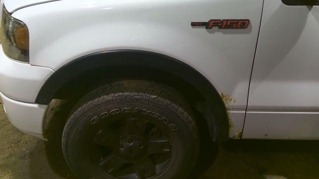 2004 Ford F-150 WHITE Photo 10