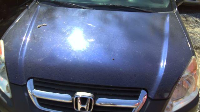 2004 Honda CR-V DARK BLUE Photo 9