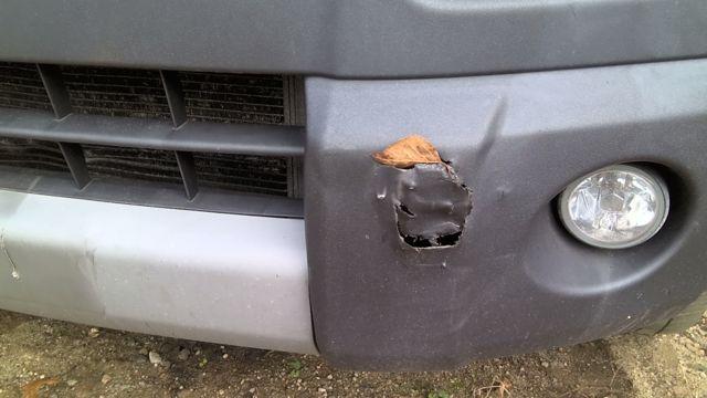 2004 Honda Element BRONZE Photo 12