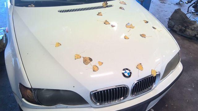 2005 BMW 330i WHITE Photo 7