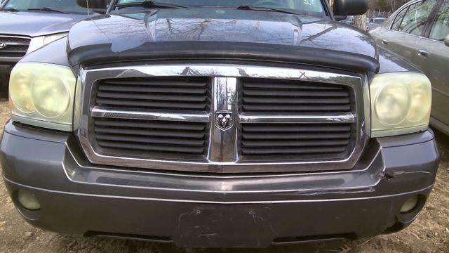 2005 Dodge Dakota GRAY Photo 8