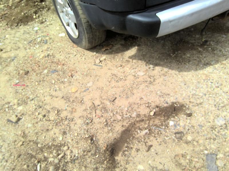 2005 Honda Element BLACK Photo 2