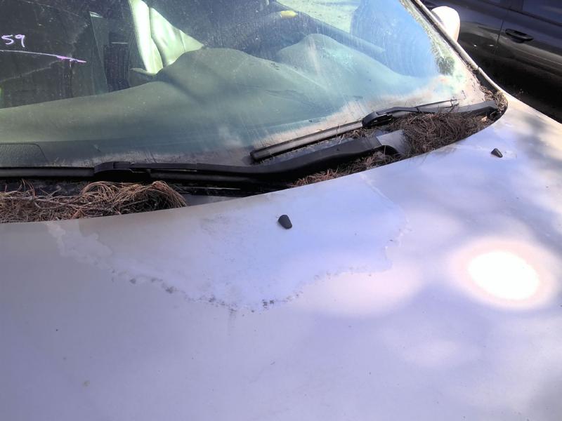 2005 Lexus RX 330 GOLD Photo 3