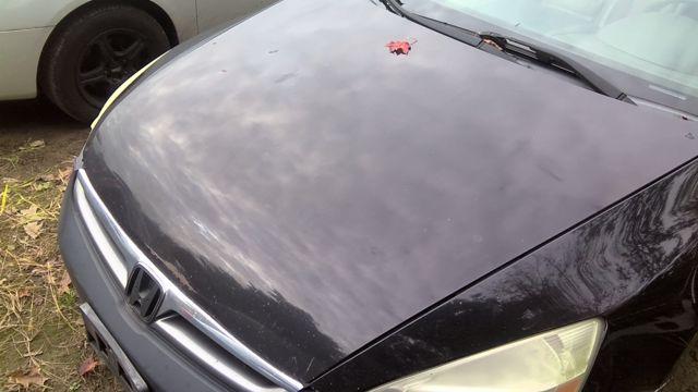 2006 Honda Accord BLACK Photo 9