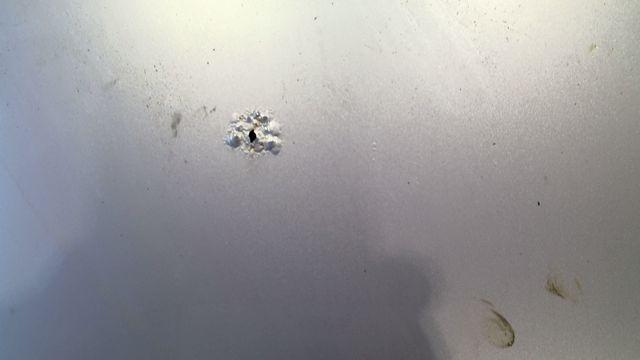 2007 Honda Civic  Photo 12