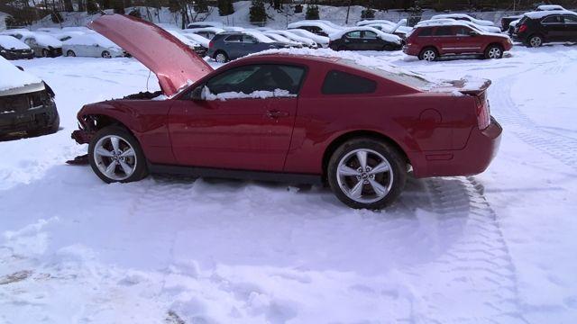 2008 Ford Mustang RED Photo 5