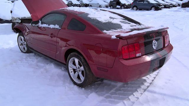 2008 Ford Mustang RED Photo 6