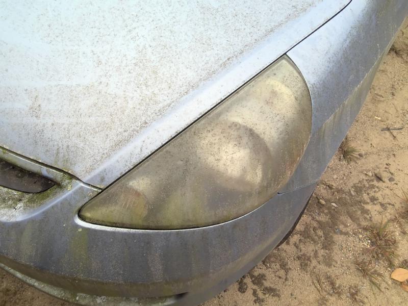 2008 Honda Fit BRONZE Photo 13