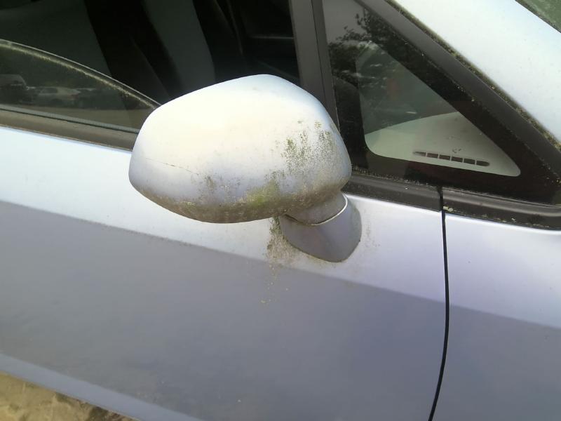 2008 Honda Fit BRONZE Photo 4
