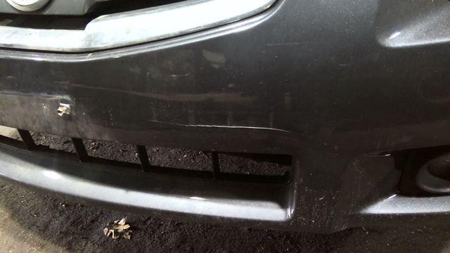 2008 Nissan Maxima GRAY Photo 2