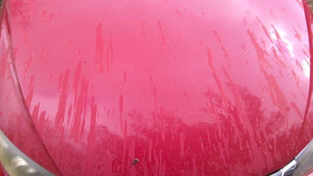2008 Subaru Impreza RED Photo 14