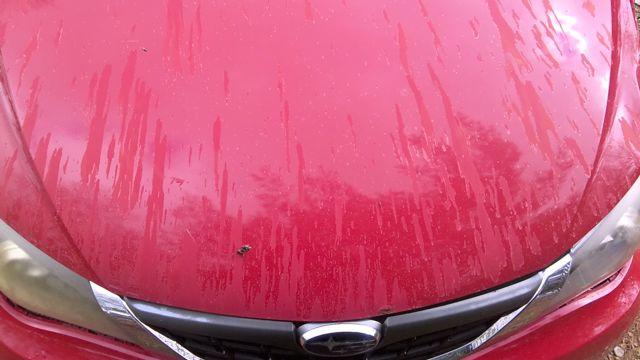 2008 Subaru Impreza RED Photo 15