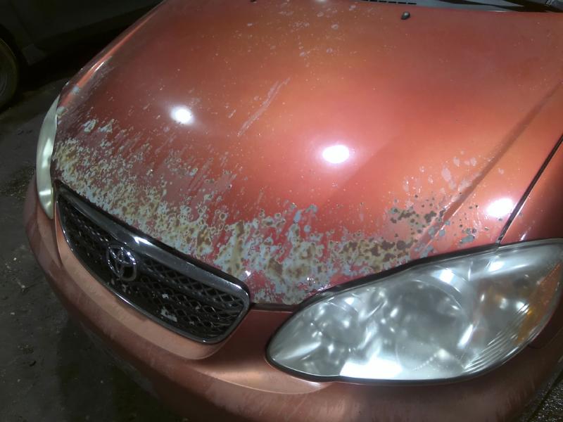 2008 Toyota Corolla RED Photo 11