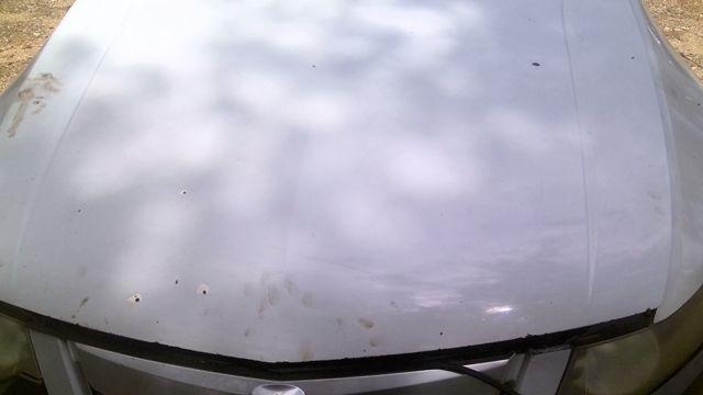 2009 Acura TSX WHITE Photo 14