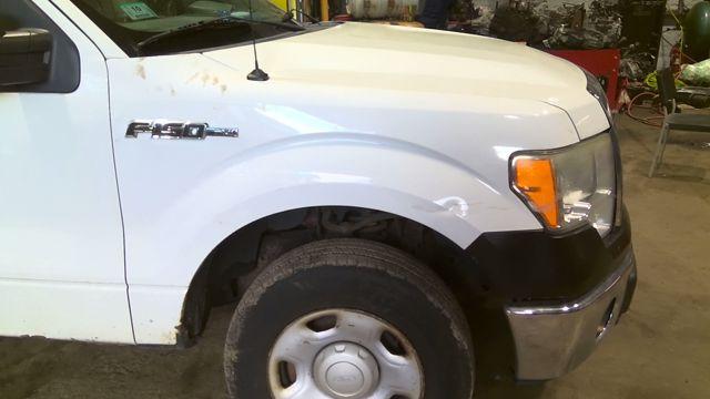 2009 Ford F-150 WHITE Photo 9