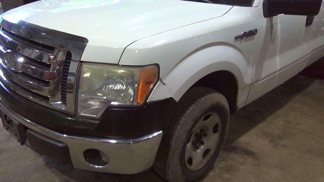 2009 Ford F-150 WHITE Photo 3