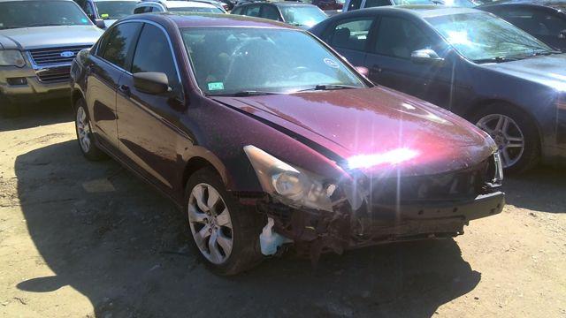 2009 Honda Accord MAROON Photo 8