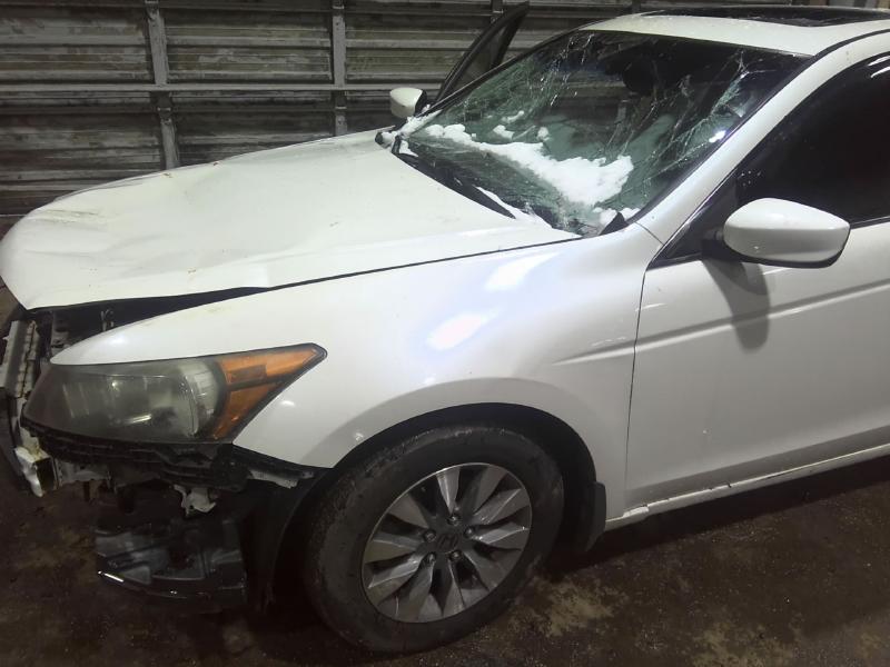 2009 Honda Accord WHITE Photo 8