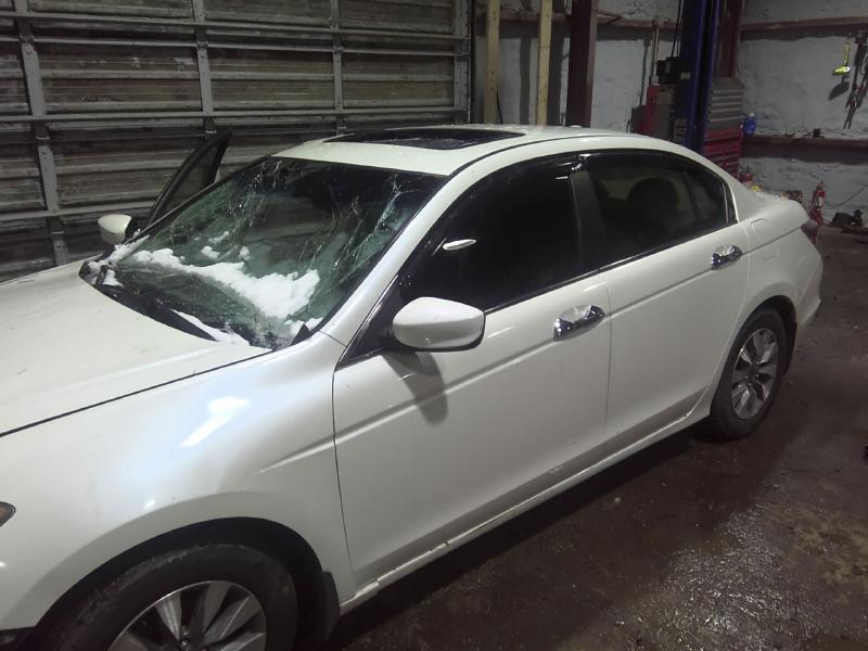 2009 Honda Accord WHITE Photo 9