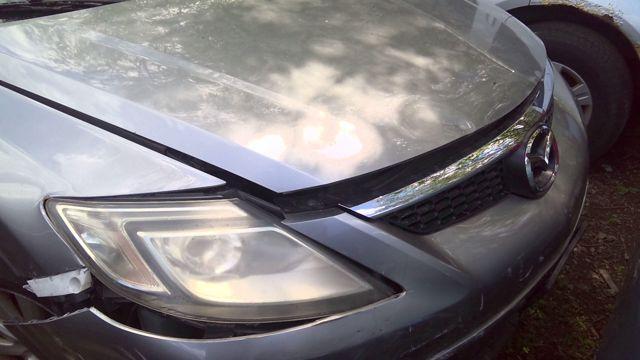 2009 Mazda CX-9 Photo 2