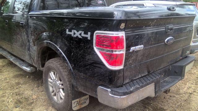 2010 Ford F-150 BLACK Photo 8