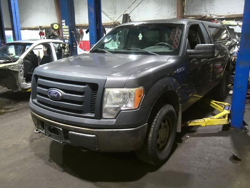 2010 Ford F-150 GRAY Photo 2