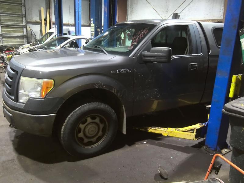 2010 Ford F-150 GRAY Photo 3