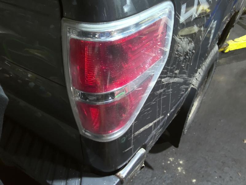 2010 Ford F-150 GRAY Photo 15