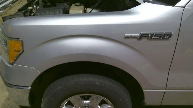 2010 Ford F-150 SILVER Photo 11