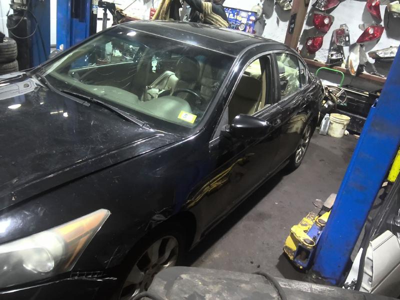 2010 Honda Accord BLACK Photo 4