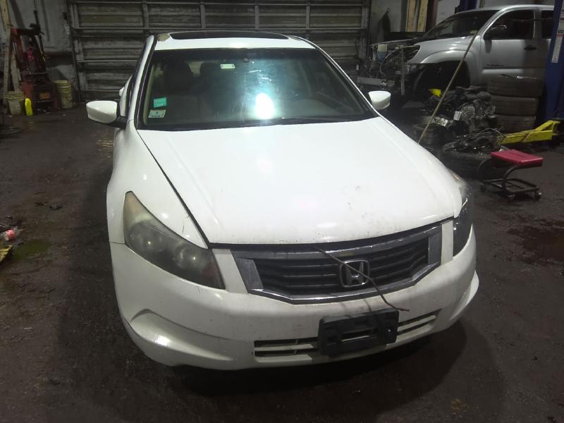 2010 Honda Accord WHITE Photo 3
