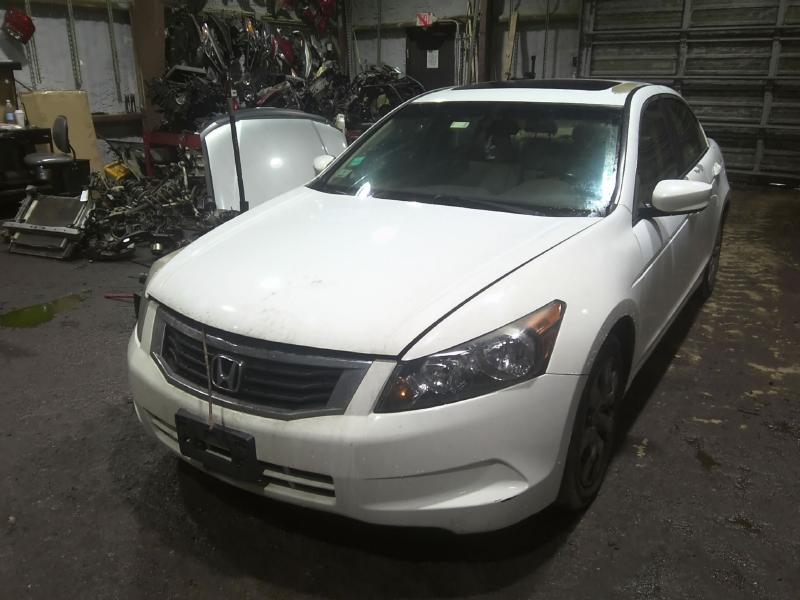 2010 Honda Accord WHITE Photo 4