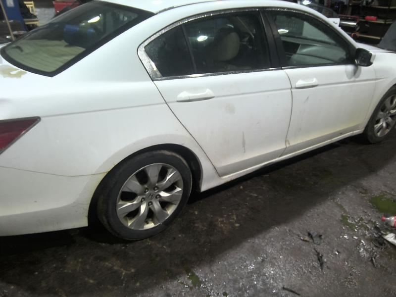 2010 Honda Accord WHITE Photo 11