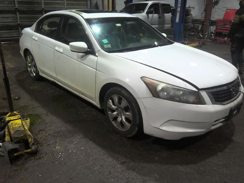 2010 Honda Accord WHITE Photo 12