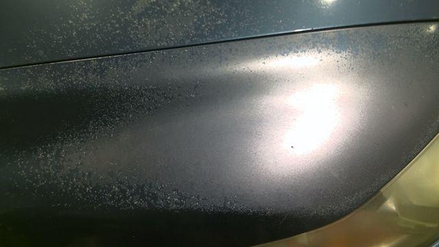 2010 Honda Civic BLACK Photo 15