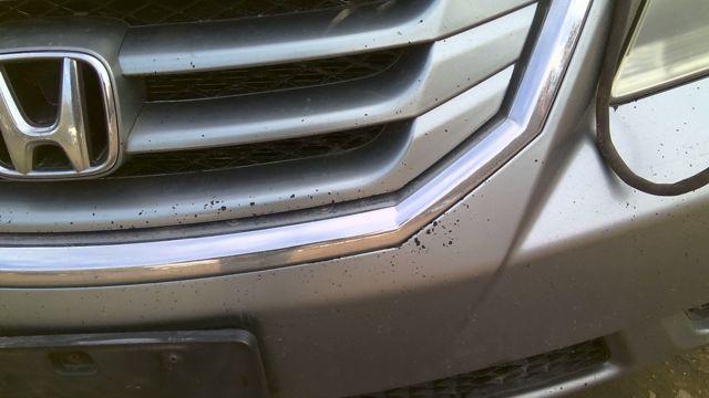 2010 Honda Odyssey GRAY Photo 2