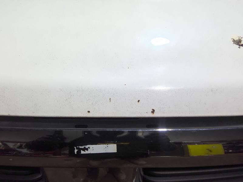 2010 RAM 2500 WHITE Photo 2