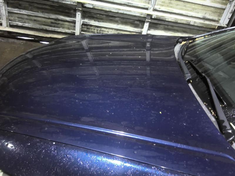 2011 Honda Accord Photo 7