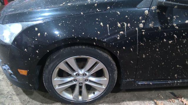 2012 Chevrolet Cruze GRAY Photo 7