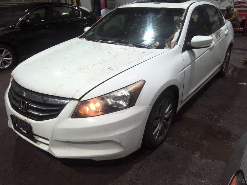2012 Honda Accord WHITE Photo 2